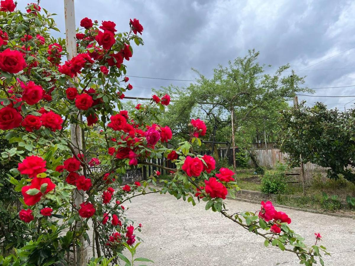 Hotel Gio Samtredia Dış mekan fotoğraf