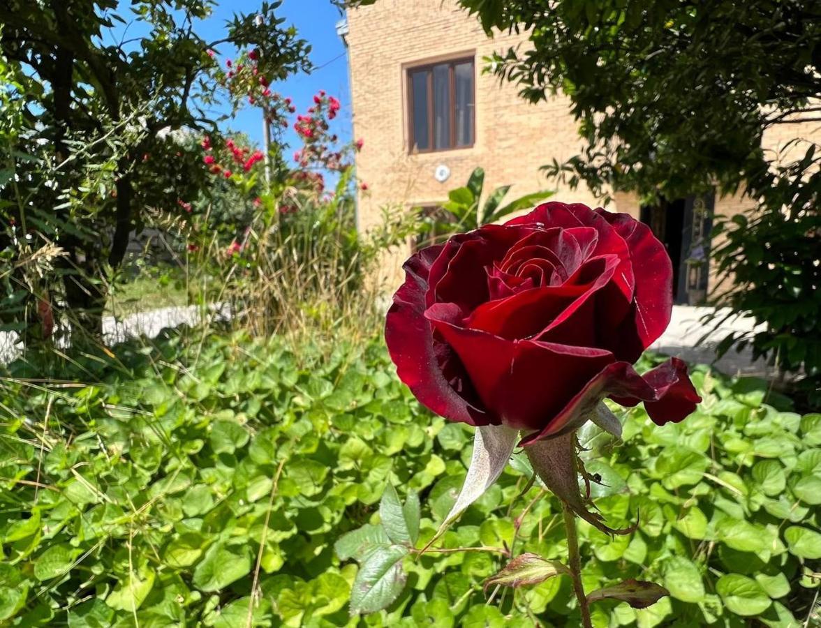 Hotel Gio Samtredia Dış mekan fotoğraf